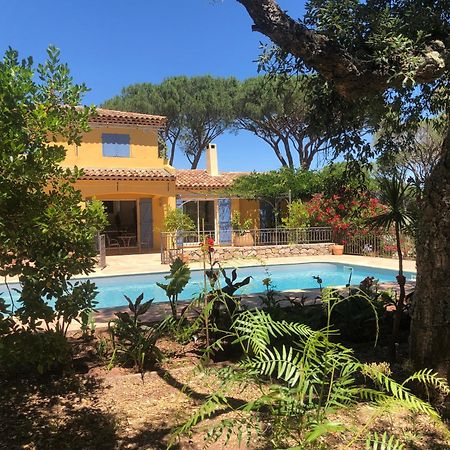 Sous Les Pins Parasols Vidauban Kültér fotó