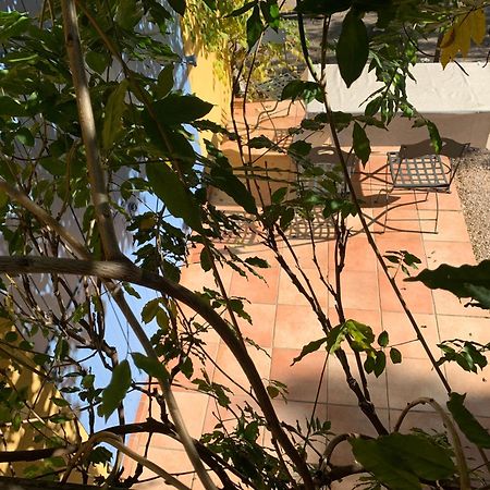 Sous Les Pins Parasols Vidauban Kültér fotó