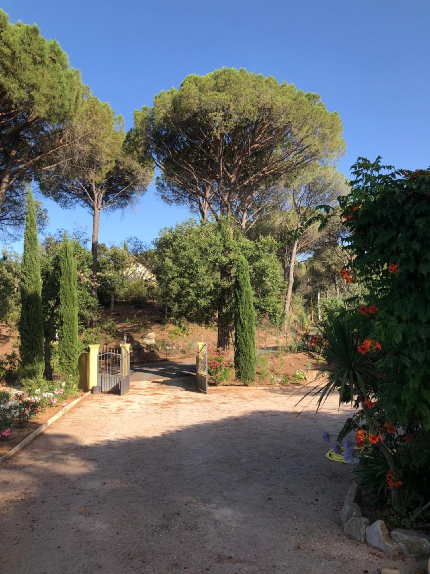 Sous Les Pins Parasols Vidauban Kültér fotó