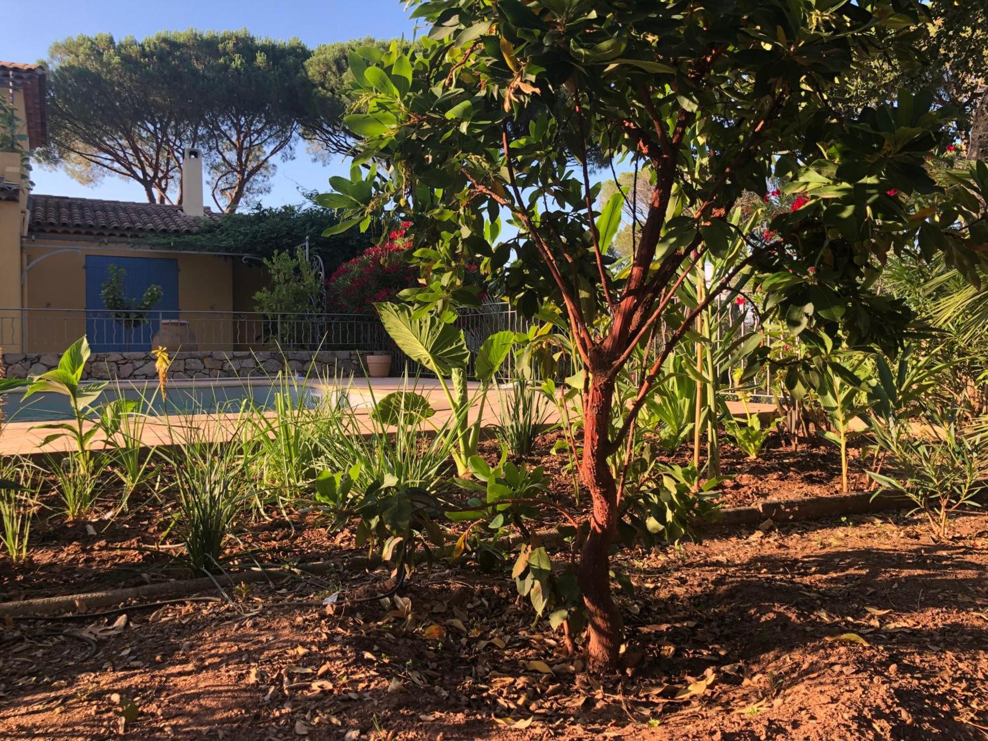 Sous Les Pins Parasols Vidauban Kültér fotó