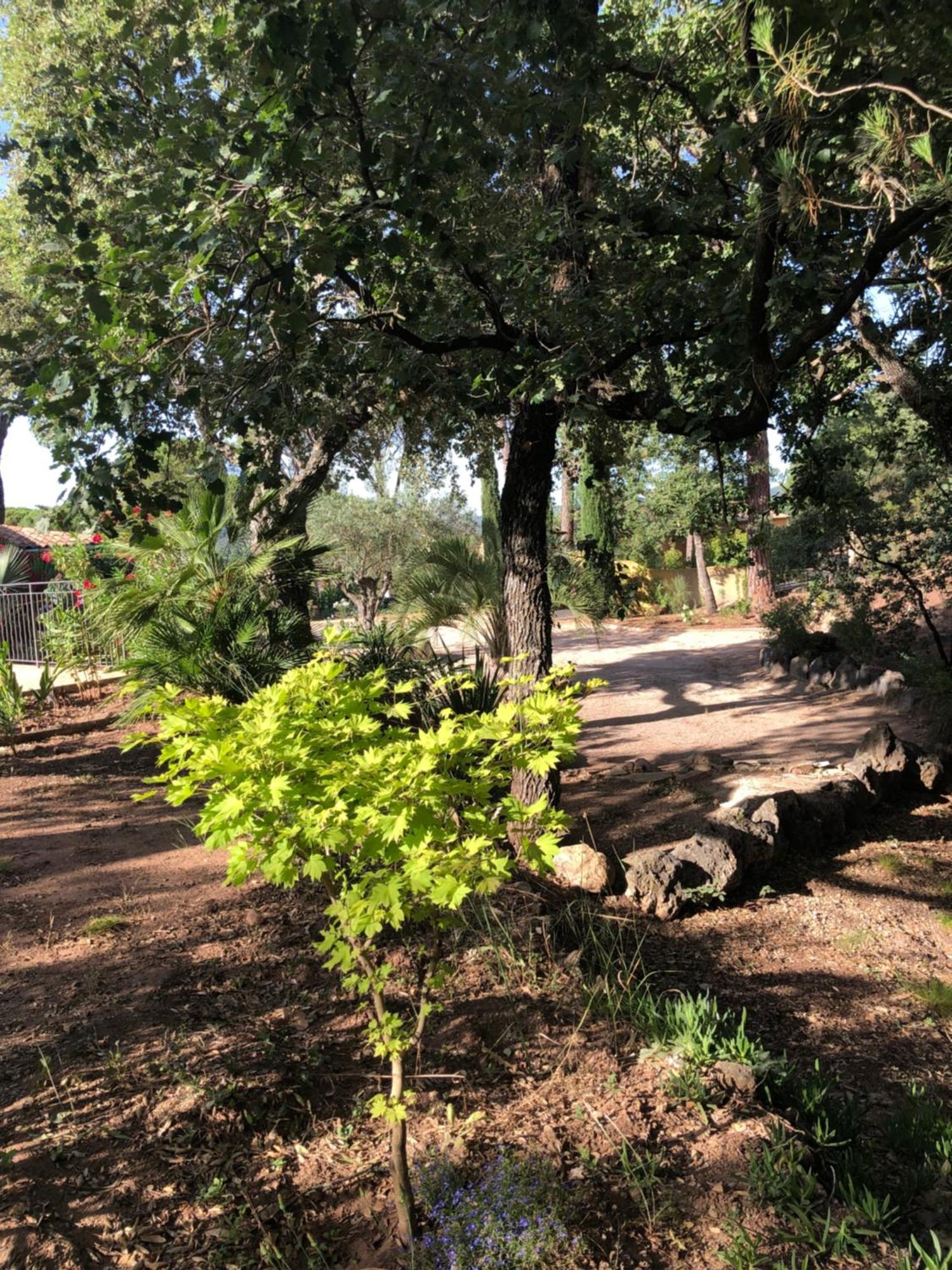 Sous Les Pins Parasols Vidauban Kültér fotó
