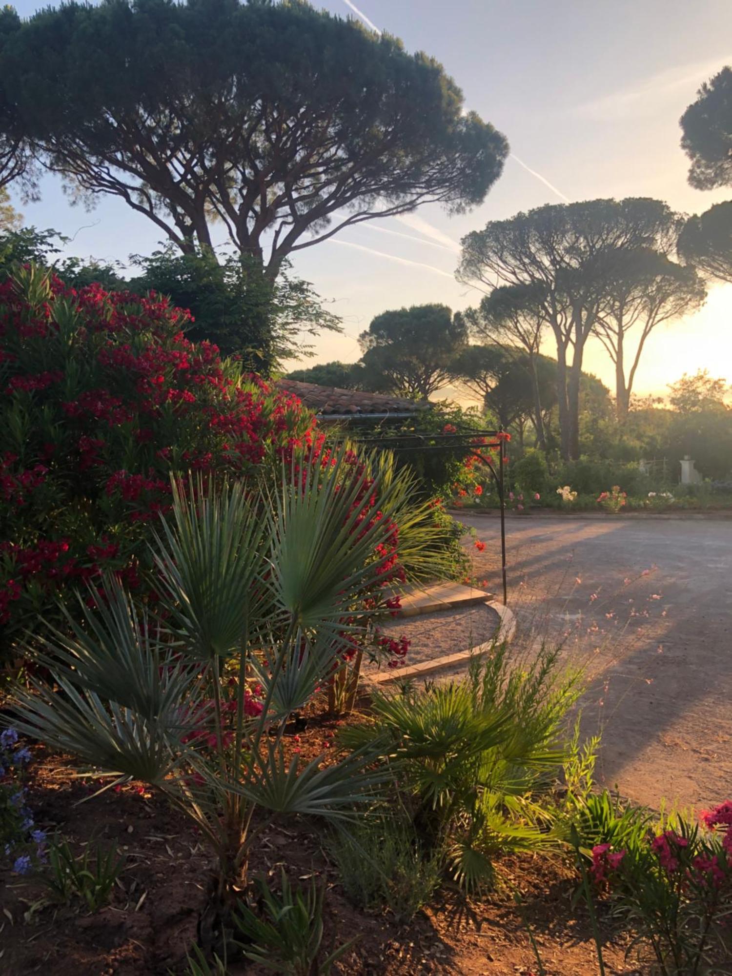 Sous Les Pins Parasols Vidauban Kültér fotó