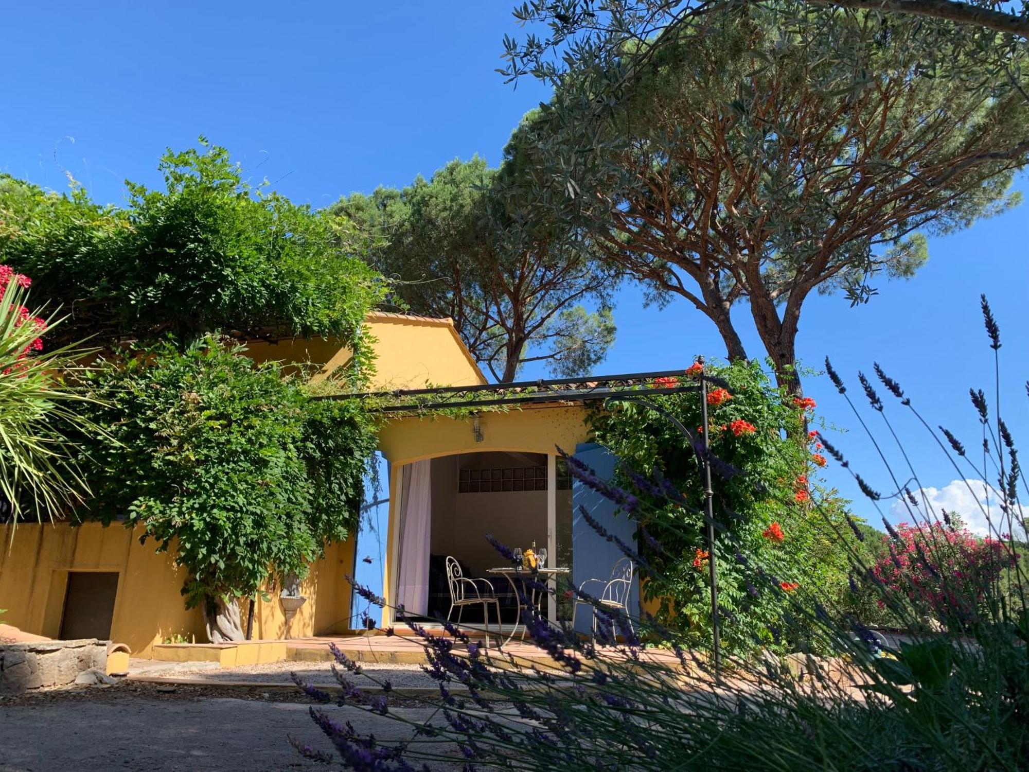 Sous Les Pins Parasols Vidauban Kültér fotó