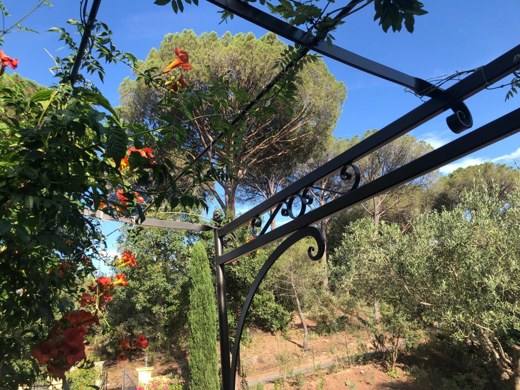 Sous Les Pins Parasols Vidauban Kültér fotó