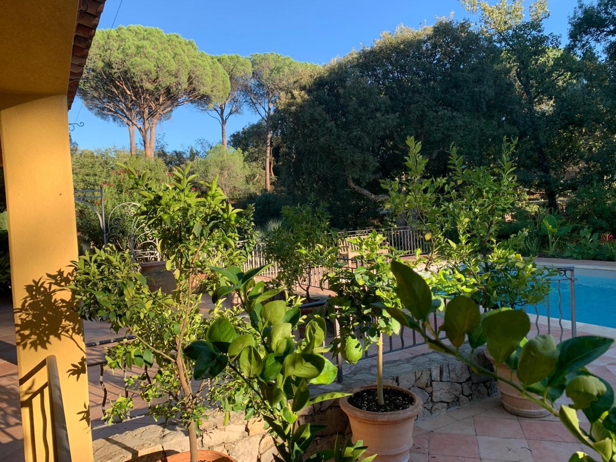 Sous Les Pins Parasols Vidauban Kültér fotó