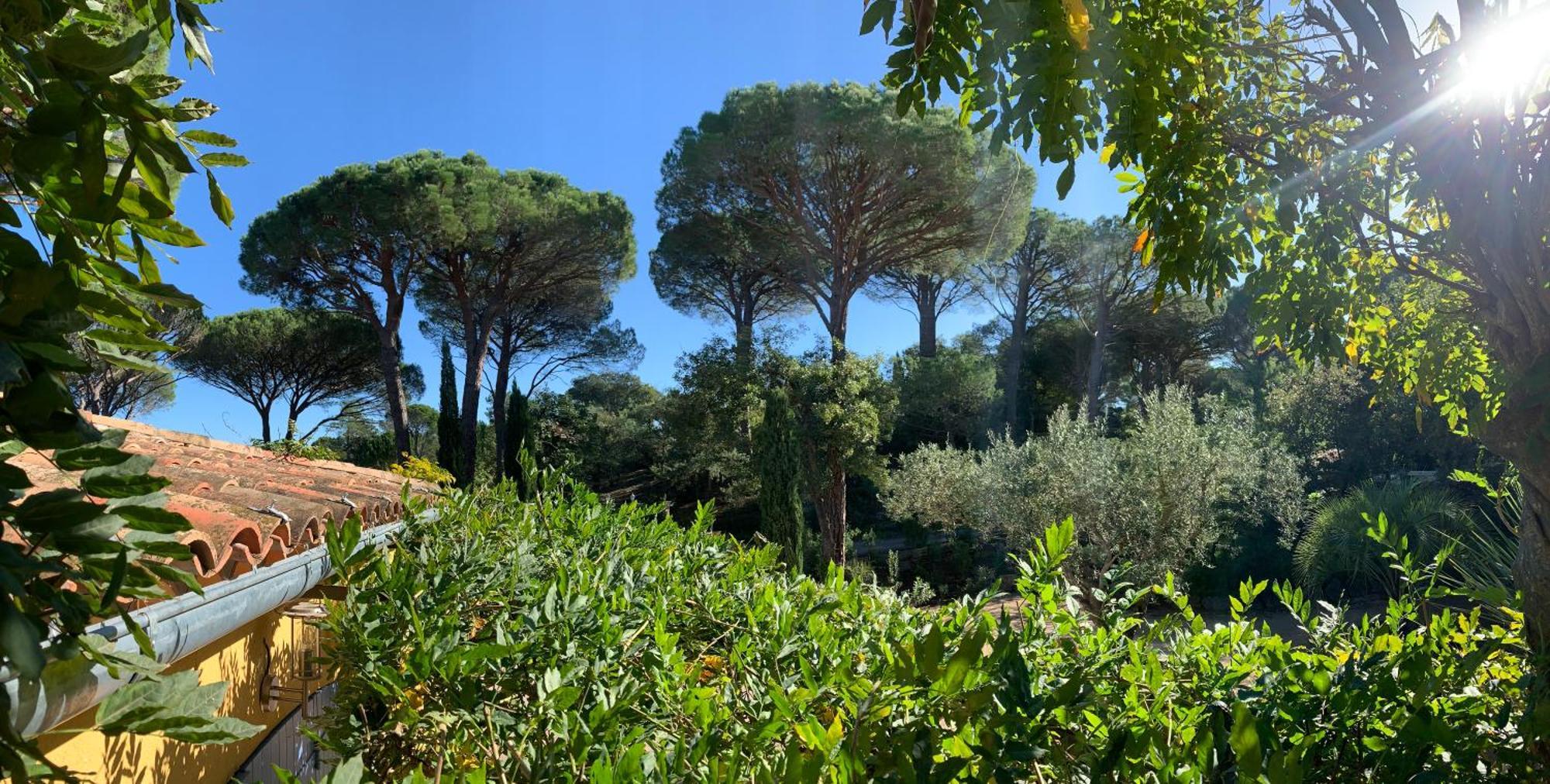 Sous Les Pins Parasols Vidauban Kültér fotó
