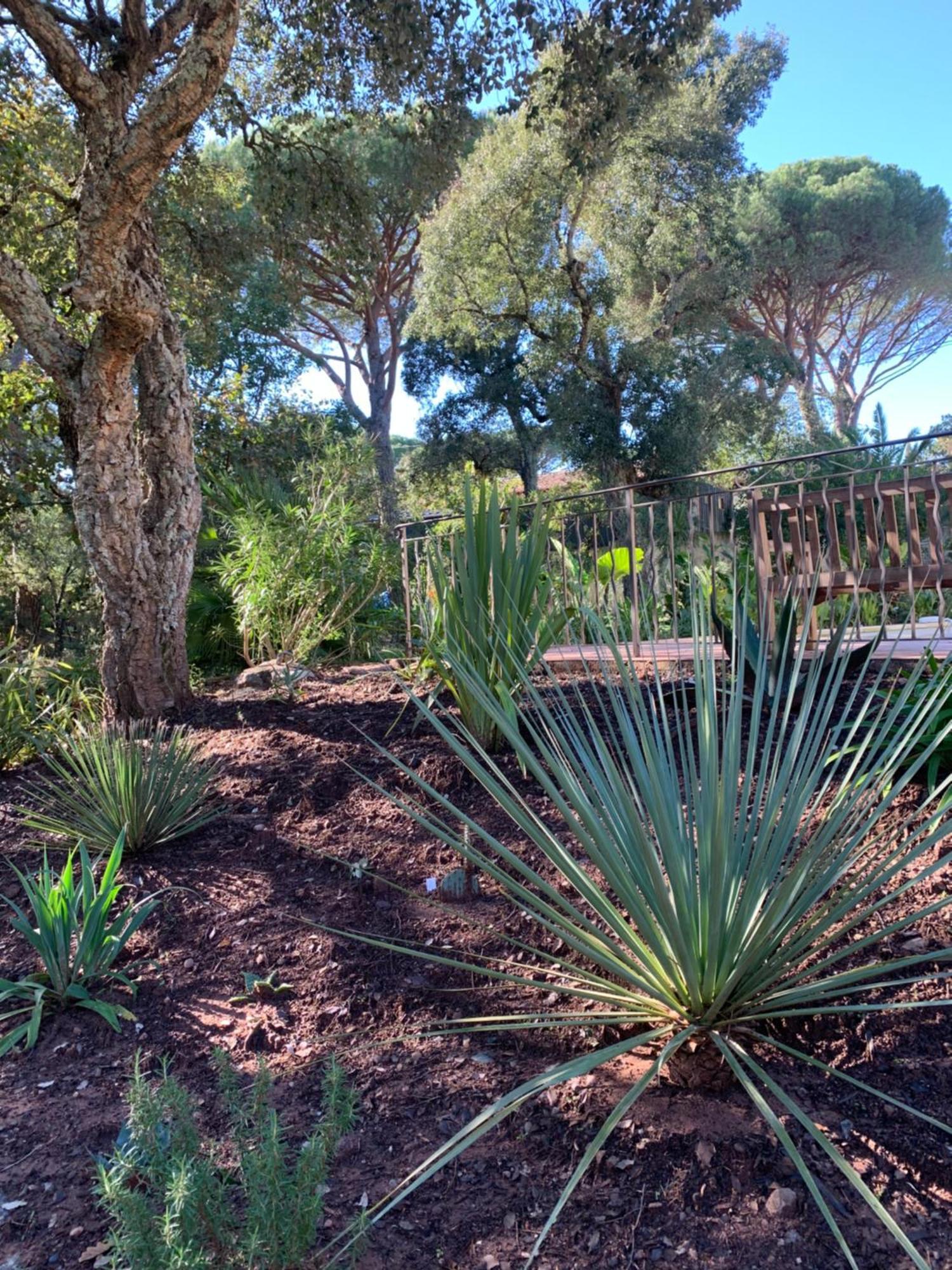 Sous Les Pins Parasols Vidauban Kültér fotó