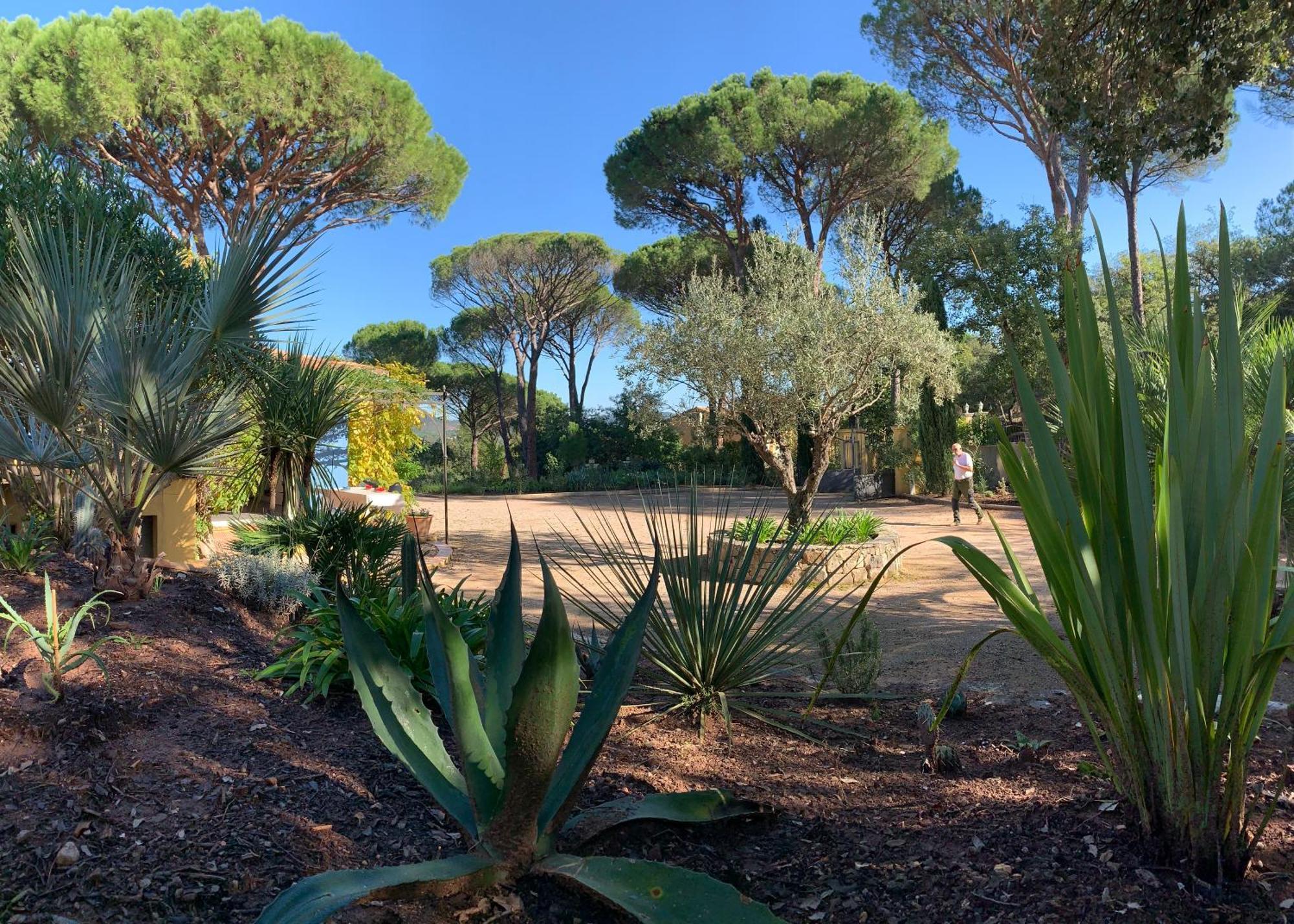 Sous Les Pins Parasols Vidauban Kültér fotó